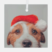 最も可愛い赤ん坊の動物 |ジャック・ラッセル・ドッグ・サンタクロース ガラスオーナメント (裏面)