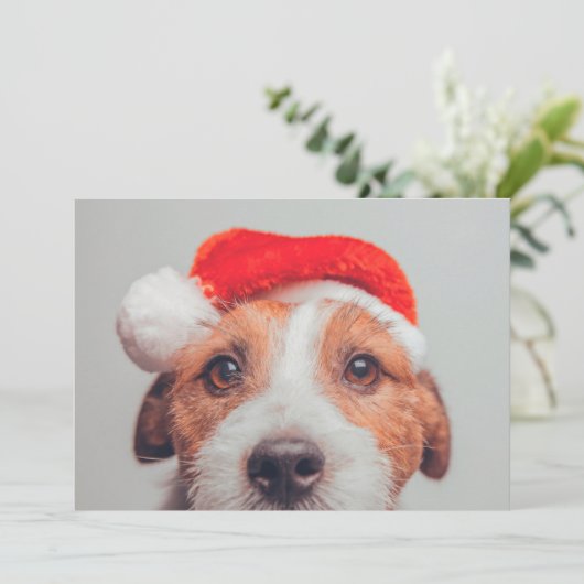 最も可愛い赤ん坊の動物 |ジャック・ラッセル・ドッグ・サンタクロース サンキューカード (スタンド正面)