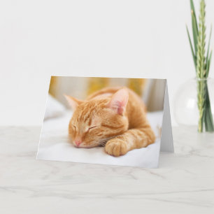 最も可愛い赤ん坊の動物 ジンジャー猫の眠り カード