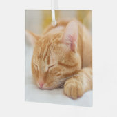 最も可愛い赤ん坊の動物 |ジンジャー猫の眠り ガラスオーナメント (正面左)