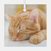 最も可愛い赤ん坊の動物 |ジンジャー猫の眠り ガラスオーナメント (正面)