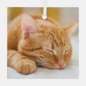 最も可愛い赤ん坊の動物 |ジンジャー猫の眠り ガラスオーナメント (裏面)