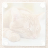 最も可愛い赤ん坊の動物 |ジンジャー猫の眠り ガラスコースター (裏面)