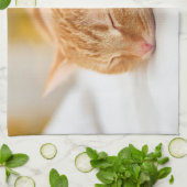 最も可愛い赤ん坊の動物 |ジンジャー猫の眠り キッチンタオル (折り畳み)