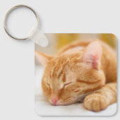 最も可愛い赤ん坊の動物 |ジンジャー猫の眠り キーホルダー (正面)