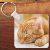 最も可愛い赤ん坊の動物 |ジンジャー猫の眠り キーホルダー (正面)