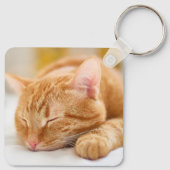 最も可愛い赤ん坊の動物 |ジンジャー猫の眠り キーホルダー (裏面)