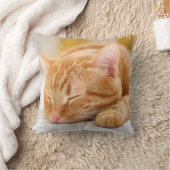 最も可愛い赤ん坊の動物 |ジンジャー猫の眠り クッション (ブランケット)