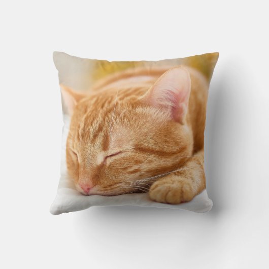 最も可愛い赤ん坊の動物 |ジンジャー猫の眠り クッション (裏面)