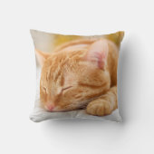 最も可愛い赤ん坊の動物 |ジンジャー猫の眠り クッション (正面)
