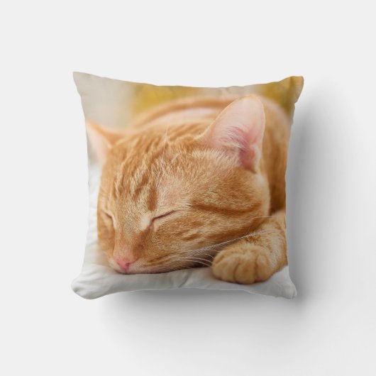 最も可愛い赤ん坊の動物 |ジンジャー猫の眠り クッション (正面)