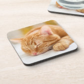 最も可愛い赤ん坊の動物 |ジンジャー猫の眠り コースター (左側)