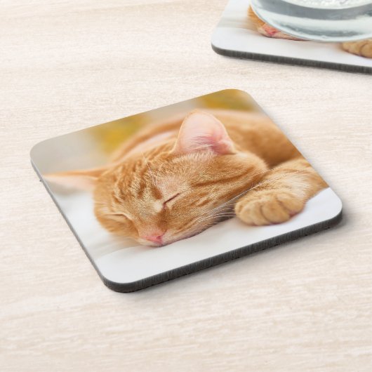 最も可愛い赤ん坊の動物 |ジンジャー猫の眠り コースター (左側)