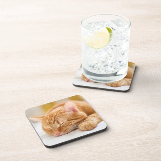 最も可愛い赤ん坊の動物 |ジンジャー猫の眠り コースター (右側)