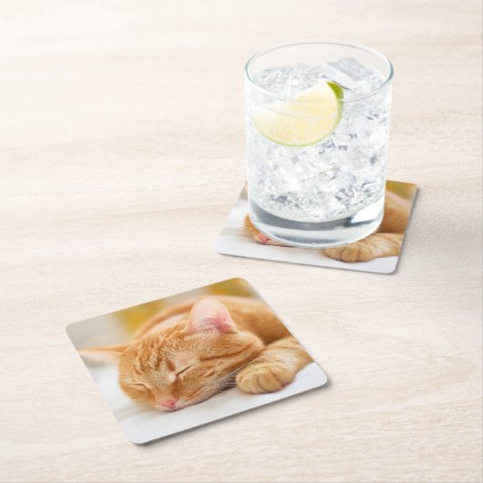 最も可愛い赤ん坊の動物 |ジンジャー猫の眠り スクエアペーパーコースター (インサイチュ)