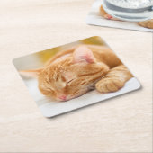 最も可愛い赤ん坊の動物 |ジンジャー猫の眠り スクエアペーパーコースター (アングル)