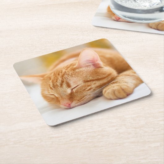 最も可愛い赤ん坊の動物 |ジンジャー猫の眠り スクエアペーパーコースター (アングル)