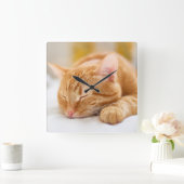 最も可愛い赤ん坊の動物 |ジンジャー猫の眠り スクエア壁時計 (ホーム)