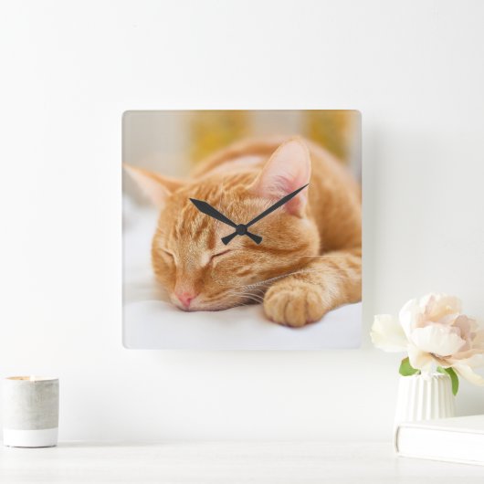 最も可愛い赤ん坊の動物 |ジンジャー猫の眠り スクエア壁時計 (ホーム)