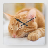 最も可愛い赤ん坊の動物 |ジンジャー猫の眠り スクエア壁時計 (正面)