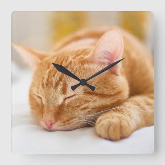 最も可愛い赤ん坊の動物 |ジンジャー猫の眠り スクエア壁時計 (正面)