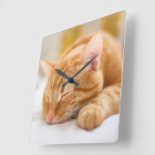 最も可愛い赤ん坊の動物 |ジンジャー猫の眠り スクエア壁時計 (傾斜)