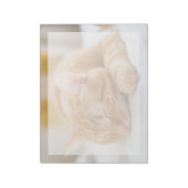 最も可愛い赤ん坊の動物 |ジンジャー猫の眠り ノートパッド (回転)