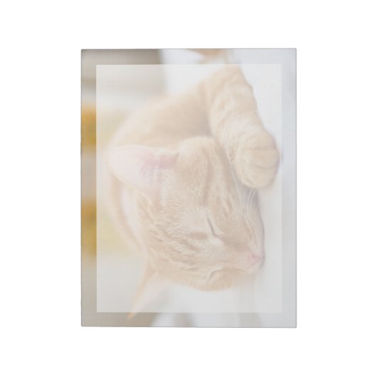 最も可愛い赤ん坊の動物 |ジンジャー猫の眠り ノートパッド (回転)