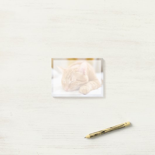 最も可愛い赤ん坊の動物 |ジンジャー猫の眠り ポストイット (デスク上)