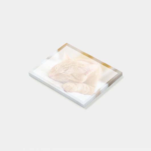 最も可愛い赤ん坊の動物 |ジンジャー猫の眠り ポストイット (アングル)