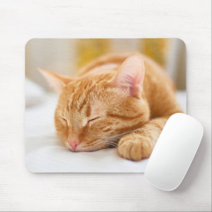 最も可愛い赤ん坊の動物 ジンジャー猫の眠り マウスパッド