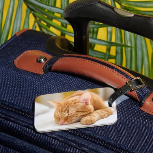 最も可愛い赤ん坊の動物 |ジンジャー猫の眠り ラゲッジタグ (正面インサイチュ3)
