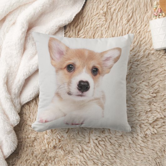 最も可愛い赤ん坊の動物 |スウィートベビーコルギ クッション (ブランケット)