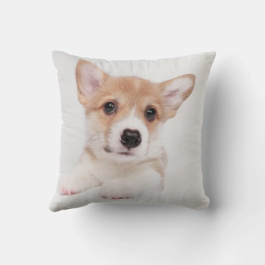 最も可愛い赤ん坊の動物 |スウィートベビーコルギ クッション (裏面)