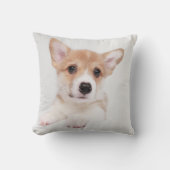 最も可愛い赤ん坊の動物 |スウィートベビーコルギ クッション (正面)