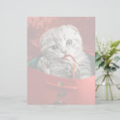 最も可愛い赤ん坊の動物 |スコティッシュフォールドキットン (スタンド正面)