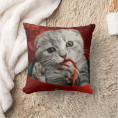 最も可愛い赤ん坊の動物 |スコティッシュフォールドキットン クッション (ブランケット)