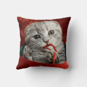 最も可愛い赤ん坊の動物 |スコティッシュフォールドキットン クッション (裏面)