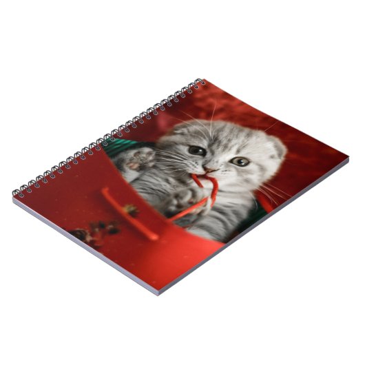 最も可愛い赤ん坊の動物 |スコティッシュフォールドキットン ノートブック (左側)