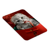 最も可愛い赤ん坊の動物 |スコティッシュフォールドキットン マグネット (右側)