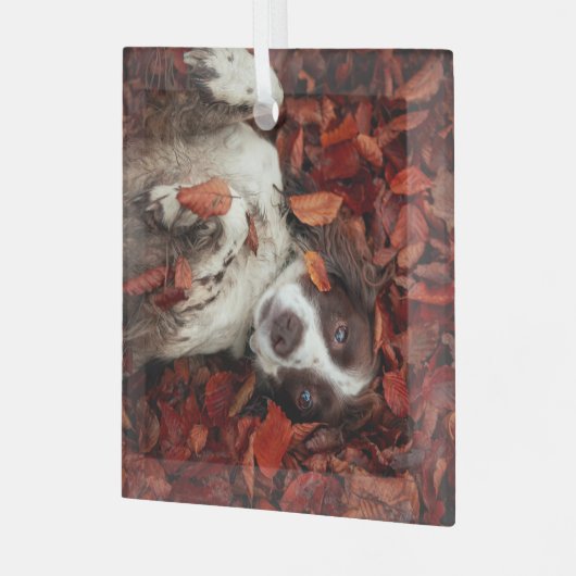 最も可愛い赤ん坊の動物 |スパニエル犬(紅葉) ガラスオーナメント (正面左)