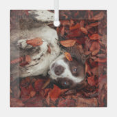 最も可愛い赤ん坊の動物 |スパニエル犬(紅葉) ガラスオーナメント (正面)