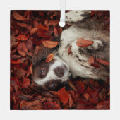 最も可愛い赤ん坊の動物 |スパニエル犬(紅葉) ガラスオーナメント (裏面)