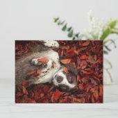 最も可愛い赤ん坊の動物 |スパニエル犬(紅葉) サンキューカード (スタンド正面)