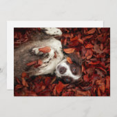 最も可愛い赤ん坊の動物 |スパニエル犬(紅葉) サンキューカード (正面/裏面)