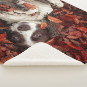 最も可愛い赤ん坊の動物 |スパニエル犬(紅葉) シェルパブランケット (3/4)