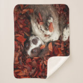 最も可愛い赤ん坊の動物 |スパニエル犬(紅葉) シェルパブランケット (正面)