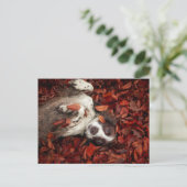 最も可愛い赤ん坊の動物 |スパニエル犬(紅葉) ポストカード (スタンド正面)