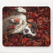 最も可愛い赤ん坊の動物 |スパニエル犬(紅葉) マウスパッド (正面)