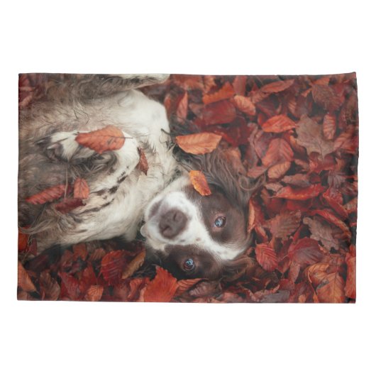 最も可愛い赤ん坊の動物 |スパニエル犬(紅葉) 枕カバー (裏面)